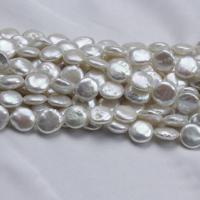 Coin odlad sötvattenspärla pärlor, Freshwater Pearl, naturlig, vit, 12mm, Hål:Ca 0.8mm, Såld Per Ca 15 inch Strand