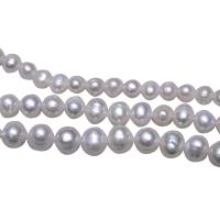 Bulvių išauginti gėlavandenių perlų karoliukai, Gėlo vandens perlų, Bulvė, natūralus, skirtingo dydžio pasirinkimo, baltas, Skylė:Apytiksliai 0.8mm, Parduota už Apytiksliai 15.5 Inch Strand