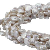 Coin odlad sötvattenspärla pärlor, Freshwater Pearl, naturlig, vit, 13mm, Hål:Ca 0.8mm, Såld Per Ca 15 inch Strand