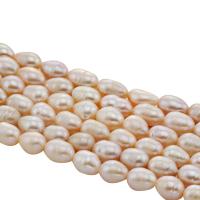 Riso coltivato in perla d'acqua dolce, perla d'acquadolce coltivata naturalmente, naturale, rosa, 10-11mm, Foro:Appross. 0.8mm, Venduto per Appross. 15 pollice filo