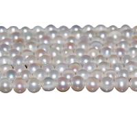 Bulvių išauginti gėlavandenių perlų karoliukai, Gėlo vandens perlų, Bulvė, natūralus, baltas, 6-7mm, Skylė:Apytiksliai 0.8mm, Parduota už Apytiksliai 15.5 Inch Strand