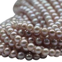 Brambor pěstované sladkovodní perle, Sladkovodní Pearl, přírodní, nachový, 6-7mm, Otvor:Cca 0.8mm, Prodáno za Cca 15.5 inch Strand