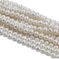 Brambor pěstované sladkovodní perle, Sladkovodní Pearl, přírodní, bílý, 11-12mm, Otvor:Cca 0.8mm, Prodáno za Cca 15 inch Strand