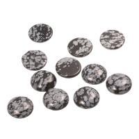 Snowflake Obsidian Cabochon, různé velikosti pro výběr & rovný hřbet, 20PC/Bag, Prodáno By Bag