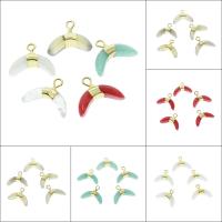 Gemstone Hängen Smycken, Ädelsten, olika material för val, 16x12x6mm, Hål:Ca 1.5mm, 5/Bag, Säljs av Bag