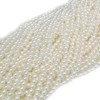 ABS Plastic Beads ABS Plastic Pearl Round Sold By Bag