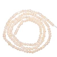 Brambor pěstované sladkovodní perle, Sladkovodní Pearl, přírodní, bílý, 2-3mm, Otvor:Cca 0.8mm, Prodáno By Strand