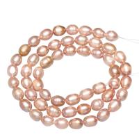 Cultured Rice Freshwater Pearl Beads natural 5-5.5mm Approx 0.8mm Sold By Strand