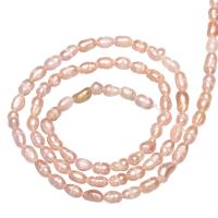 Cultured Rice Freshwater Pearl Beads natural 2.8-3.2mm Approx 0.8mm Sold By Strand