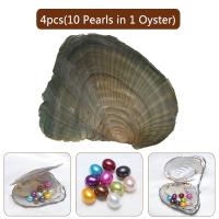 Oyster & Wish Pearl Kit, Perła naturalna słodkowodna, Ryż, mieszane kolory, 7-8mm, 5komputery/wiele, sprzedane przez wiele