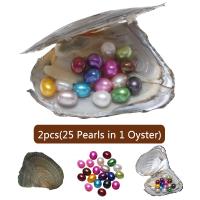 Oyster & Wish Pearl Kit, Perła naturalna słodkowodna, Ryż, mieszane kolory, 7-8mm, 2komputery/wiele, sprzedane przez wiele