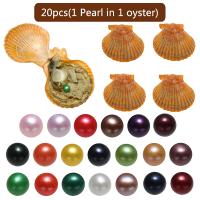 Perle Oyster Perlacee Mare Mare Culturale, perle coltivate Akoya, Patata, colori misti, 7-8mm, 20PC/borsa, Venduto da borsa