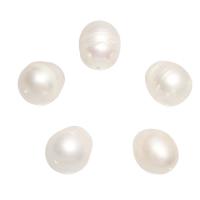Naturel d'eau douce perles, perle d'eau douce cultivée, pomme de terre, blanc, 14x13mm-12x11mm, Trou:Environ 0.8mm, 10PC/sac, Vendu par sac
