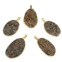 Aqua Terra Jasper Pendant with Brass gold color plated - 6 Approx Sold By PC