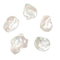 Nėra Hole Kultūringas gėlavandenių perlų karoliukai, Gėlo vandens perlų, natūralus, skirtingo dydžio pasirinkimo & ne skylė, baltas, 15-18mm,18-20mm,20mm, Pardavė PC