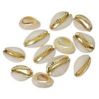 Shell Findings with Brass natural fashion jewelry & DIY & mixed 13-17x18-24x7-8mm Sold By Lot