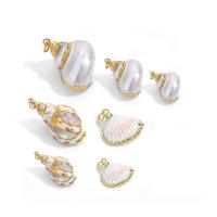 Shell Pendants with Brass gold color plated DIY nickel lead & cadmium free Approx 3.5mm Sold By Lot