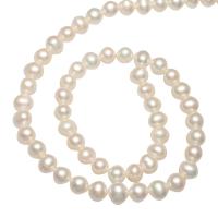 Bulvių išauginti gėlavandenių perlų karoliukai, Gėlo vandens perlų, Bulvė, natūralus, baltas, 6-7mm, Skylė:Apytiksliai 0.8mm, Parduota už Apytiksliai 14.1 Inch Strand