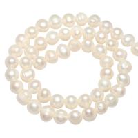 Bulvių išauginti gėlavandenių perlų karoliukai, Gėlo vandens perlų, Bulvė, natūralus, daugiau spalvų pasirinkimas, 7-8mm, Skylė:Apytiksliai 0.8mm, Parduota už Apytiksliai 14.1 Inch Strand