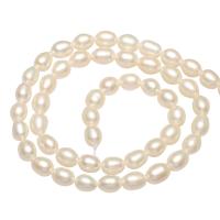 Bulvių išauginti gėlavandenių perlų karoliukai, Gėlo vandens perlų, Bulvė, natūralus, daugiau spalvų pasirinkimas, 5-6mm, Skylė:Apytiksliai 0.8mm, Parduota už Apytiksliai 14.1 Inch Strand