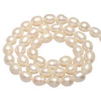 Brambor pěstované sladkovodní perle, Sladkovodní Pearl, přírodní, různé velikosti pro výběr, více barev na výběr, Otvor:Cca 0.8mm, Prodáno za Cca 14.1 inch Strand