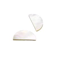 White Shell Cabochon polished DIY Sold By Bag