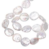 Spłaszczone koraliki z pereł słodkowodnych hodowlanych, Perła naturalna słodkowodna, Guzik, Naturalne, biały, 15-16mm, otwór:około 0.8mm, sprzedawane na około 15 cal Strand
