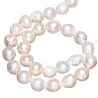 Bulvių išauginti gėlavandenių perlų karoliukai, Gėlo vandens perlų, Bulvė, natūralus, baltas, 13-15mm, Skylė:Apytiksliai 0.8mm, Parduota už Apytiksliai 15 Inch Strand