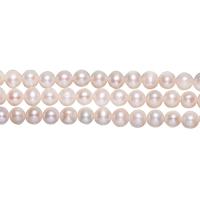 淡水養殖の真円真珠, 天然有核フレッシュウォーターパール, ラウンド形, 天然, 無色, 7-8mm, 穴:約 0.8mm, で販売される 約 15 インチ ストランド