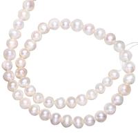 Brambor pěstované sladkovodní perle, Sladkovodní Pearl, přírodní, více barev na výběr, 8-9mm, Otvor:Cca 0.8mm, Prodáno za Cca 15 inch Strand