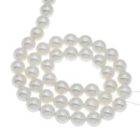 South Sea Shell Beads Round white Approx 1mm Sold Per Approx 14.9 Inch Strand