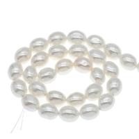 South Sea Shell Beads Oval DIY white 19*16mm Approx 1mm Approx Sold Per Approx 14.9 Inch Strand