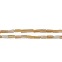South Sea Shell Beads Rectangle Approx 1mm Sold Per Approx 14.9 Inch Strand