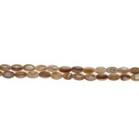 South Sea Shell perler, Olive, forskellig størrelse for valg, flere farver til valg, Hole:Ca. 1mm, Solgt Per Ca. 14.9 inch Strand