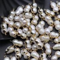 perle d'eau douce cultivée connecteur, Placage de couleur d'or, envoyé au hasard & DIY, blanc, 13-19mm, Vendu par PC