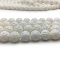 Naturlig Freshwater Shell Perler, poleret, du kan DIY & forskellig størrelse for valg, Solgt af Strand