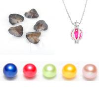 Edison Pearl Wish Pearl Oyster, multi-colored, 7~8mmuff0c250mmuff0c21*10mm, Length:Approx 9.8 Inch, 5PCs/Lot, Sold By Lot