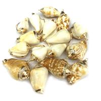 Trompeta natural Shell colgantes, Nácar Trompeta, Concha, chapado en color dorado, Bricolaje, color mixto, 20*35mm~25*45mm, Vendido por UD