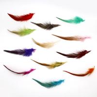 Mixed Jewelry Findings Chicken Feather DIY 10~15cm Sold By Bag