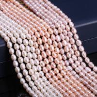 Cultured Rice Freshwater Pearl Beads DIY Sold Per Approx 14.2 Inch Strand