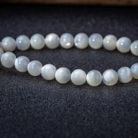Natural Freshwater Shell Beads pearl with Pearl Shell 4mmuff0c6mmuff0c8mmuff0c10mmuff0c12mm Sold By Bag