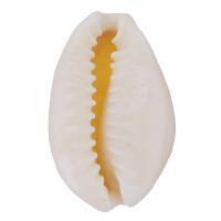 Naturlige muslingeskal perler, Shell, Shell, du kan DIY, hvid, 14x8x22mm, 50pc'er/Lot, Solgt af Lot