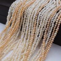 Bulvių išauginti gėlavandenių perlų karoliukai, perlas, Turas, natūralus, gamtos & Pasidaryk pats & įvairių stilių pasirinkimas, daugiau spalvų pasirinkimas, 2-3mm, Parduota už 38 cm Strand