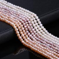 Cultured Round Freshwater Pearl Beads natural natural & DIY 4-4.5mm Sold By Strand
