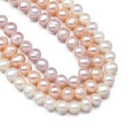 Turno coltivate in acqua dolce Perla, perla d'acquadolce coltivata naturalmente, Cerchio, placcato, colore e motivo diversi per la scelta & DIY, nessuno, 5-6mm, Venduto da filo