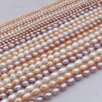 Riso coltivato in perla d'acqua dolce, perla d'acquadolce coltivata naturalmente, DIY & più formati per scelta, nessuno, Venduto da filo