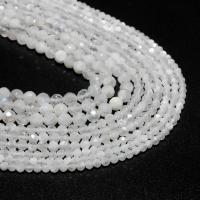 Natural Moonstone Beads Round DIY & faceted white 4mm Sold By Strand