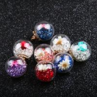 Glass Pendant with Dried Flower & DIY Round 15*20mm Sold By PC