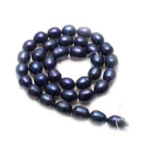 Brambor pěstované sladkovodní perle, Sladkovodní Pearl, tmavě modrá, 9-10mm,15*10.6cm, Otvor:Cca 0.8mm, Prodáno za Cca 15 inch Strand