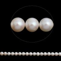 Brambor pěstované sladkovodní perle, Sladkovodní Pearl, přírodní, bílý, třída AAA, 9-10mm, Otvor:Cca 0.8mm, Prodáno za Cca 15.5 inch Strand